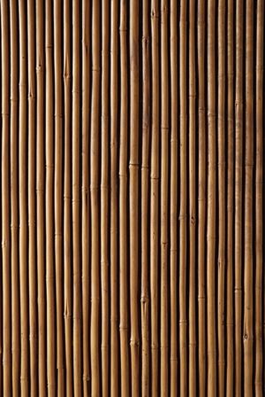 Decomuro bambu 1.20x 60xm 0.72 m2 Nombre